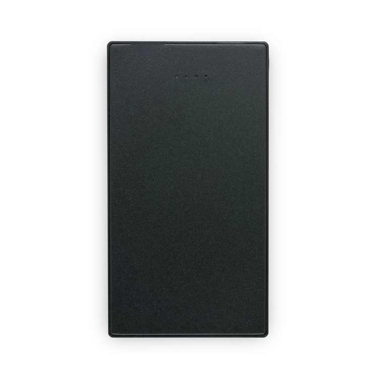 DENNING. Smukły power bank ze stali nierdzewnej o pojemności 5000 mAh